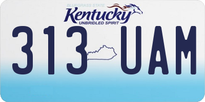 KY license plate 313UAM