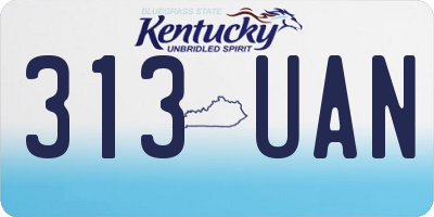 KY license plate 313UAN