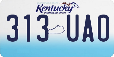 KY license plate 313UAO