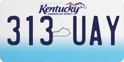 KY license plate 313UAY