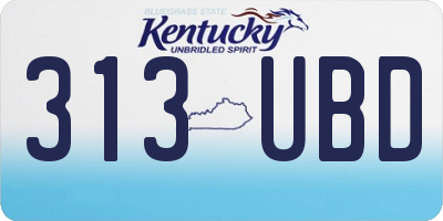 KY license plate 313UBD