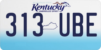 KY license plate 313UBE
