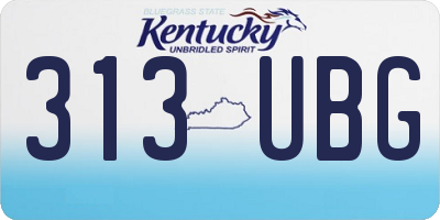 KY license plate 313UBG