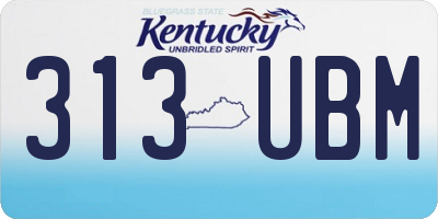 KY license plate 313UBM