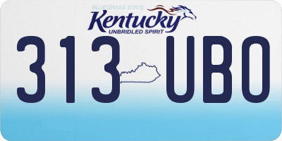 KY license plate 313UBO