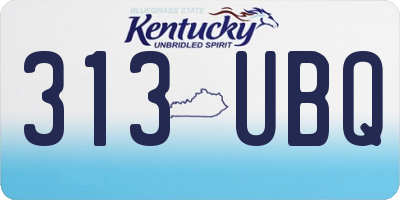 KY license plate 313UBQ
