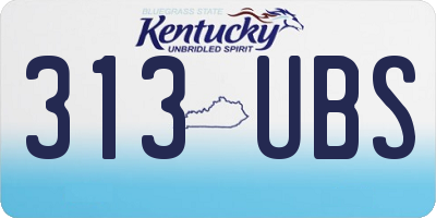 KY license plate 313UBS