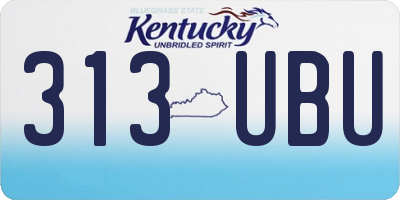 KY license plate 313UBU