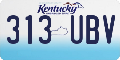 KY license plate 313UBV