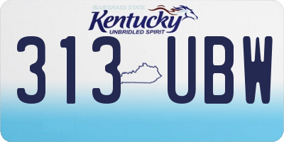 KY license plate 313UBW