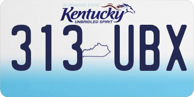 KY license plate 313UBX