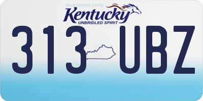 KY license plate 313UBZ