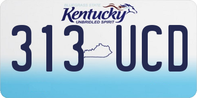 KY license plate 313UCD