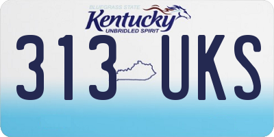 KY license plate 313UKS