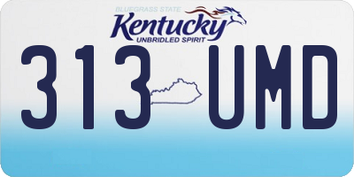 KY license plate 313UMD