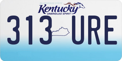 KY license plate 313URE