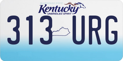 KY license plate 313URG