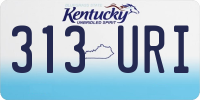KY license plate 313URI