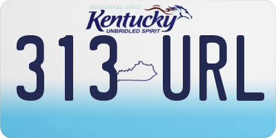 KY license plate 313URL