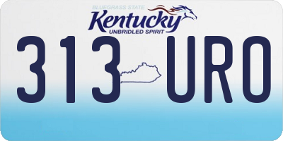 KY license plate 313URO