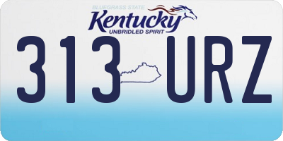 KY license plate 313URZ