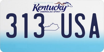 KY license plate 313USA