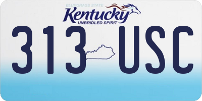 KY license plate 313USC