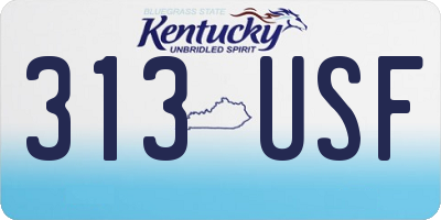 KY license plate 313USF