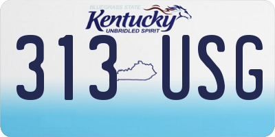 KY license plate 313USG