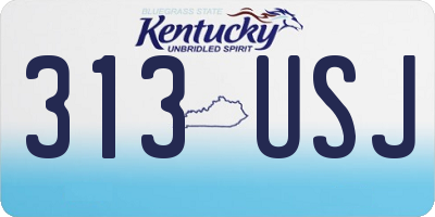 KY license plate 313USJ