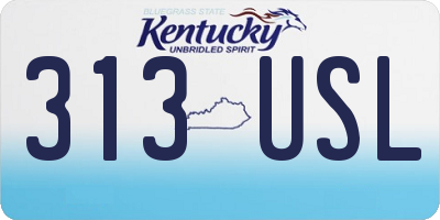 KY license plate 313USL
