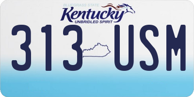 KY license plate 313USM