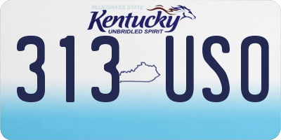 KY license plate 313USO