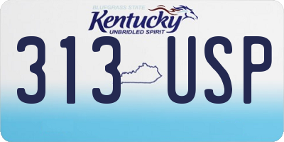 KY license plate 313USP