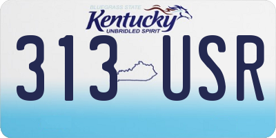KY license plate 313USR
