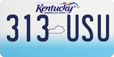 KY license plate 313USU