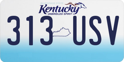 KY license plate 313USV