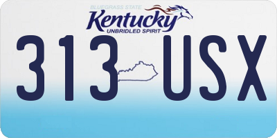 KY license plate 313USX