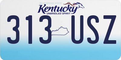 KY license plate 313USZ