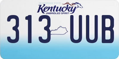 KY license plate 313UUB