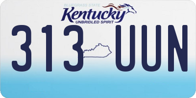 KY license plate 313UUN