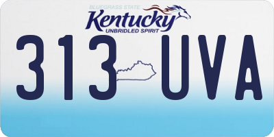 KY license plate 313UVA