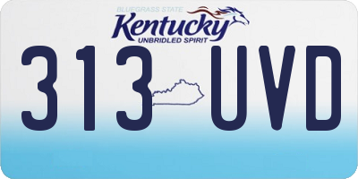 KY license plate 313UVD
