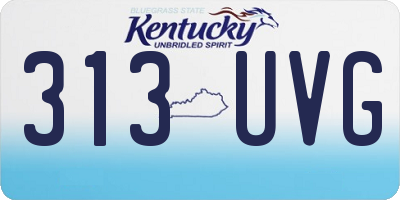 KY license plate 313UVG