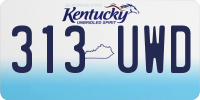 KY license plate 313UWD