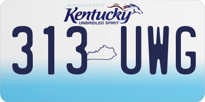 KY license plate 313UWG