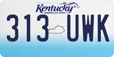 KY license plate 313UWK