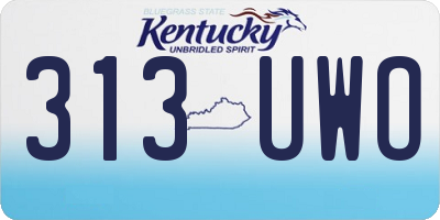 KY license plate 313UWO