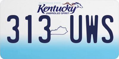 KY license plate 313UWS