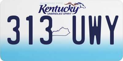 KY license plate 313UWY